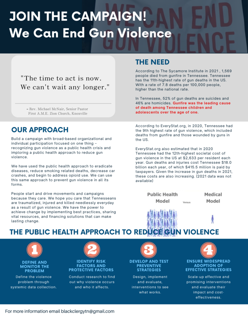 We Can End Gun Violence - One Pager